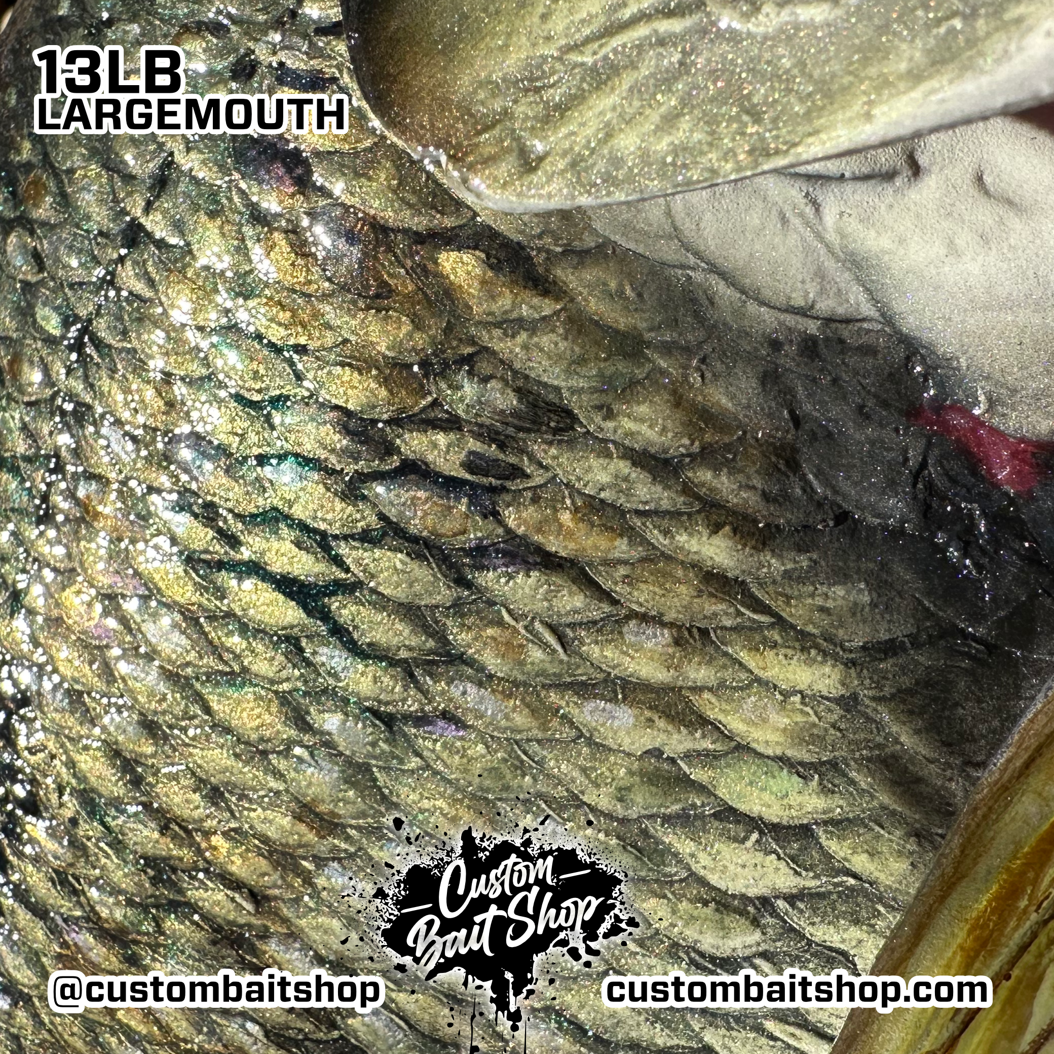 Custom Bait Shop fish replica