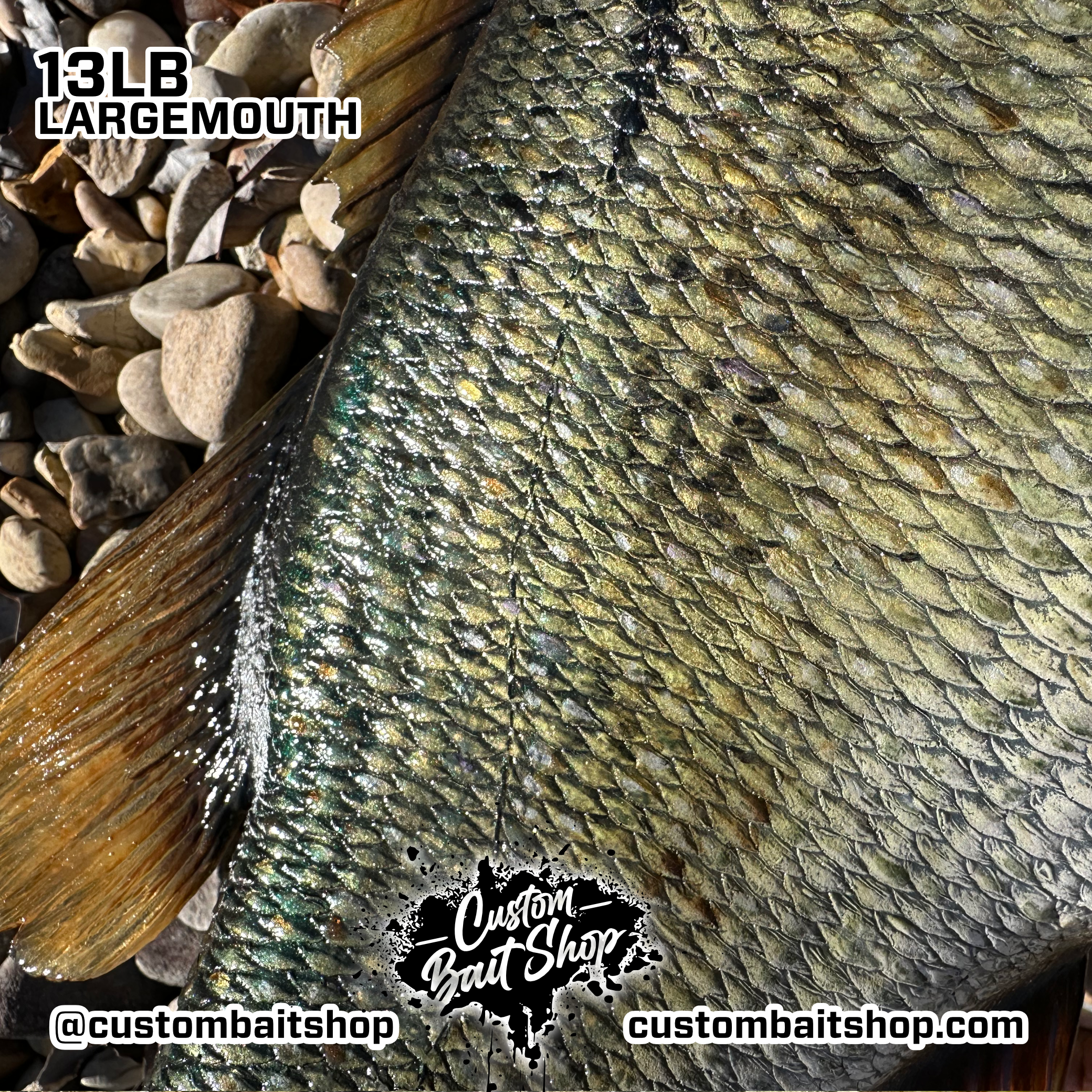 Custom Bait Shop fish replica