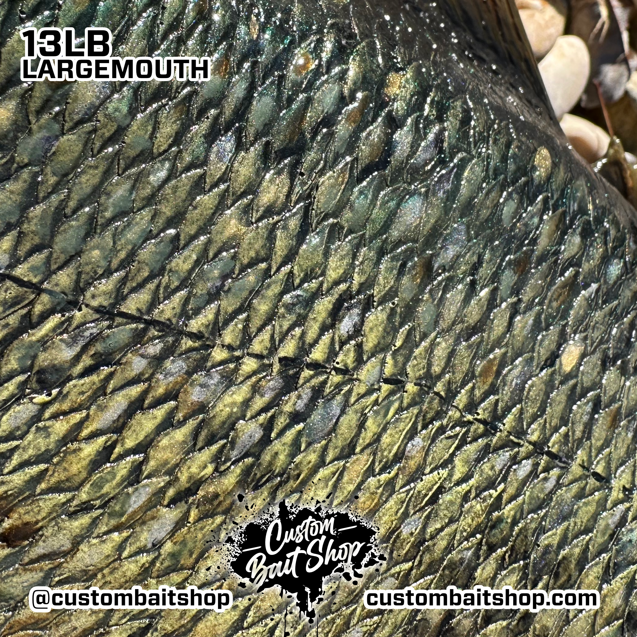 Custom Bait Shop fish replica