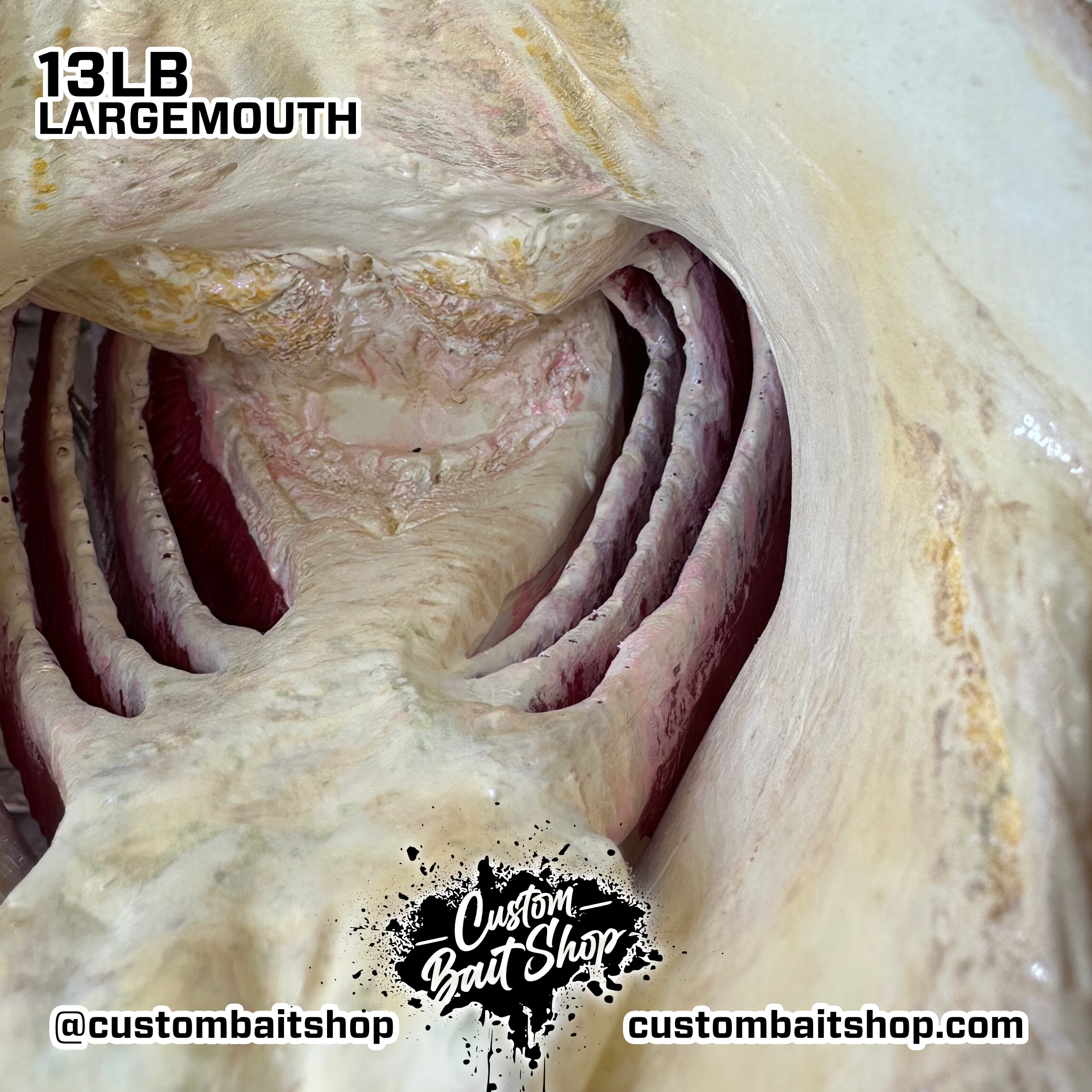 Custom Bait Shop fish replica