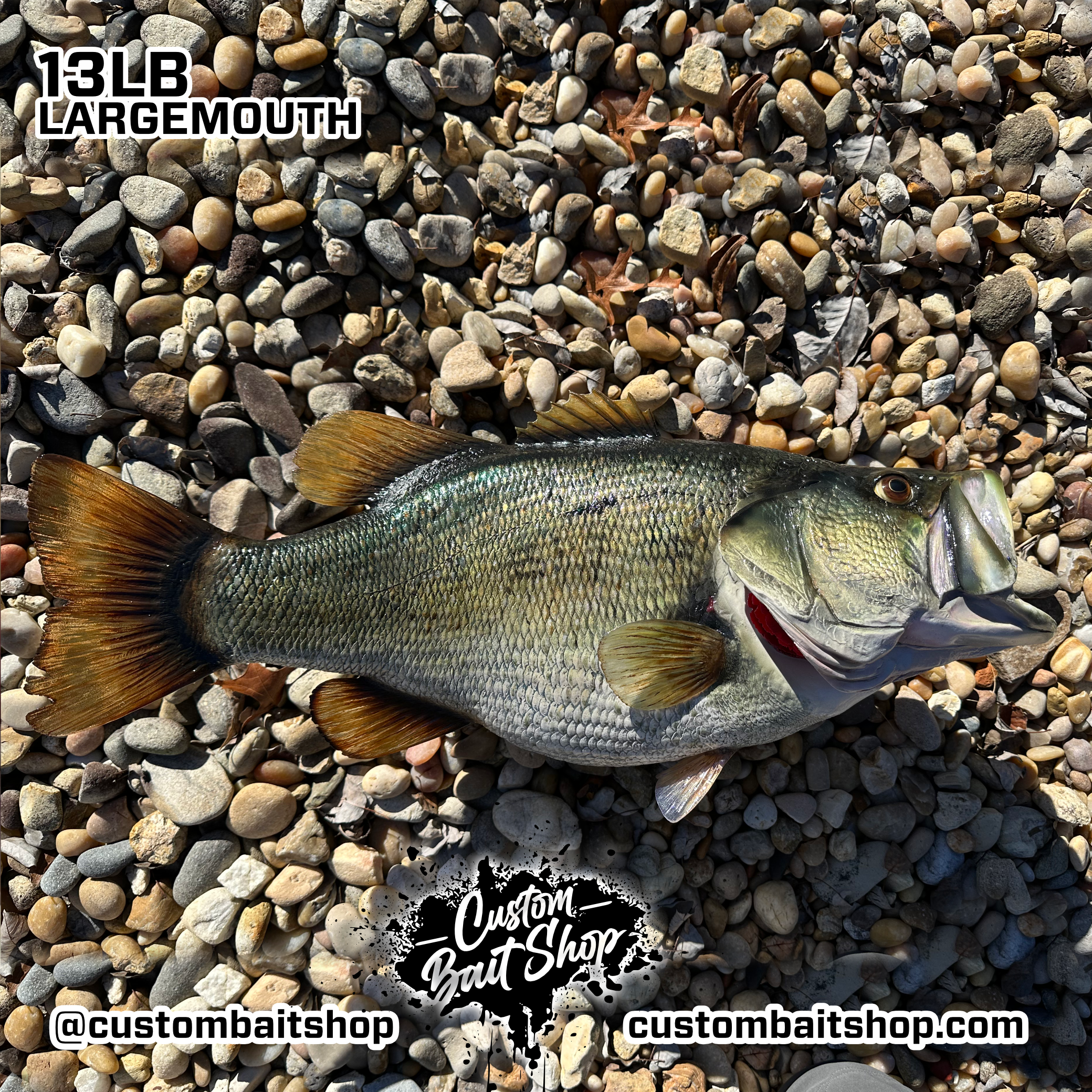 Custom Bait Shop fish replica