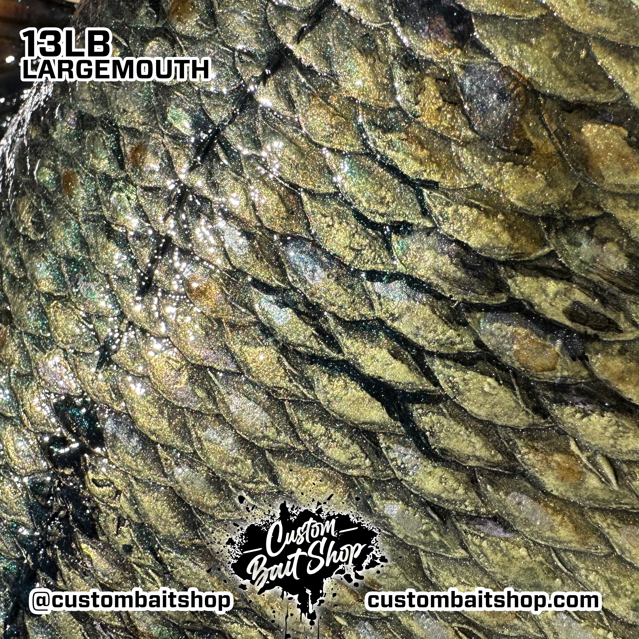 Custom Bait Shop fish replica