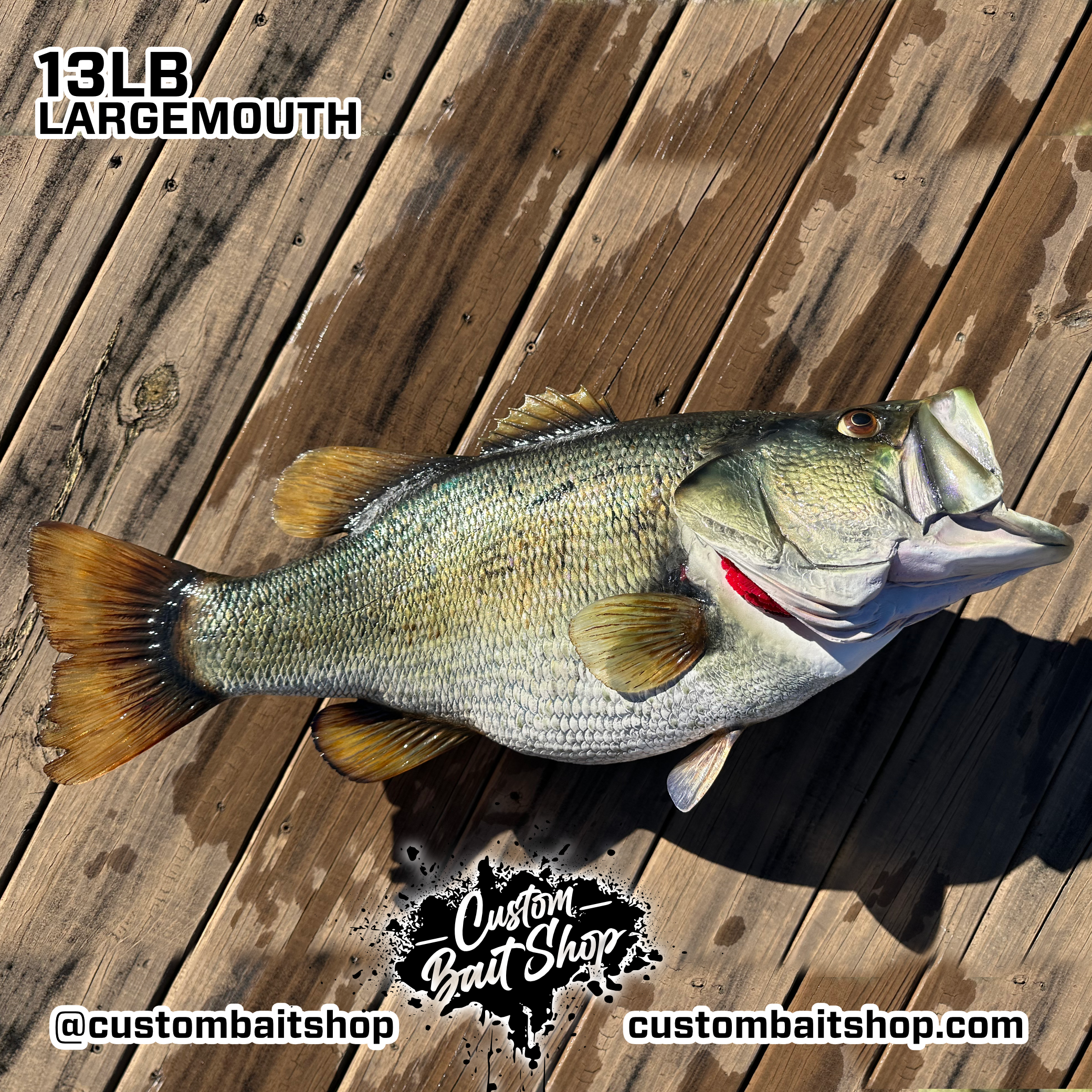 Custom Bait Shop fish replica