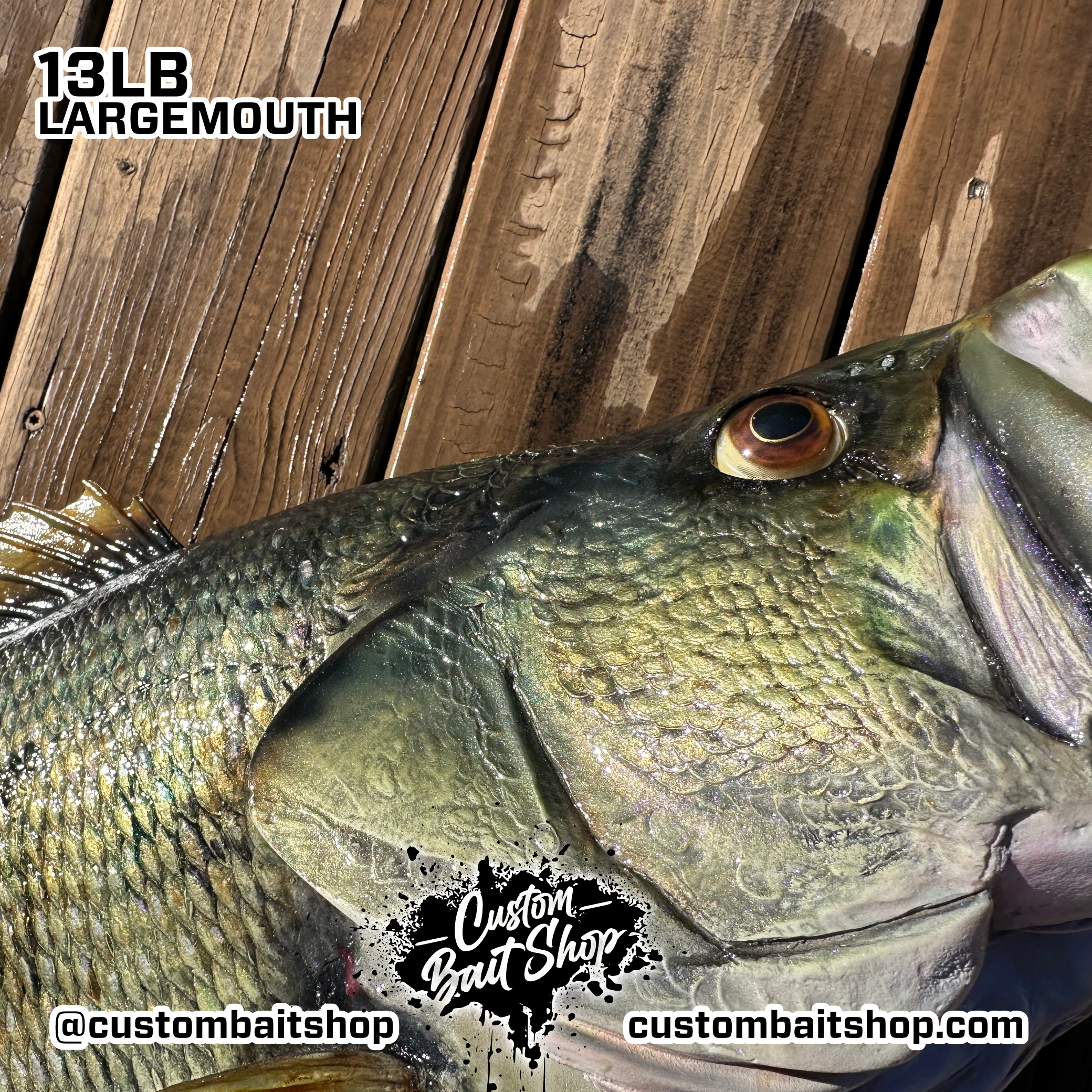 Custom Bait Shop fish replica