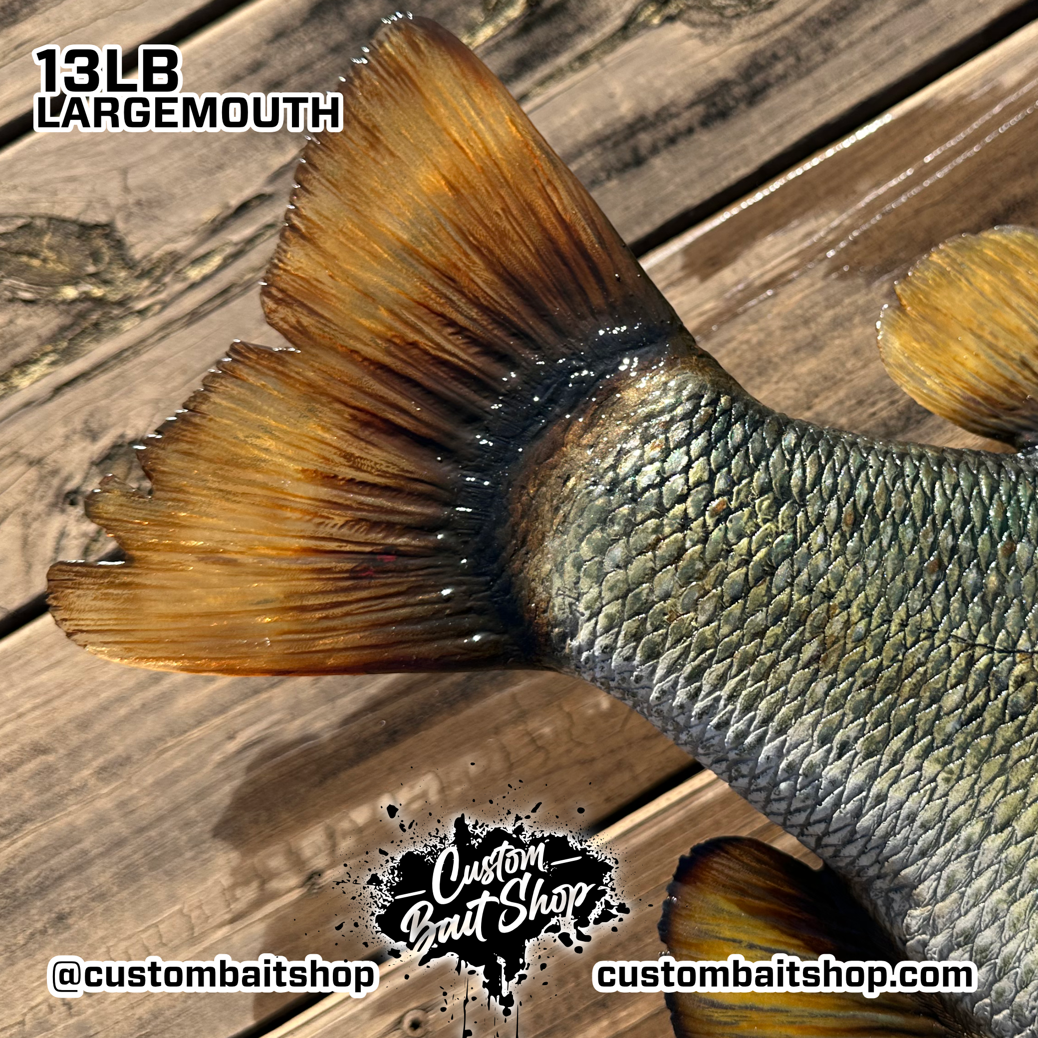 Custom Bait Shop fish replica