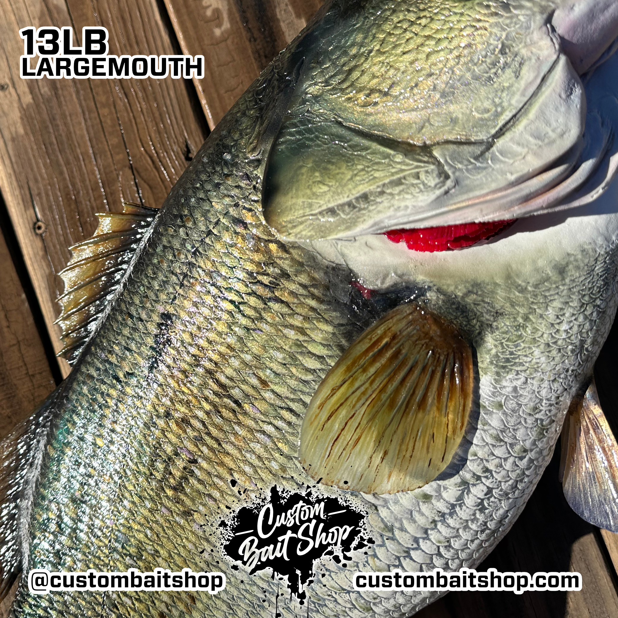 Custom Bait Shop fish replica