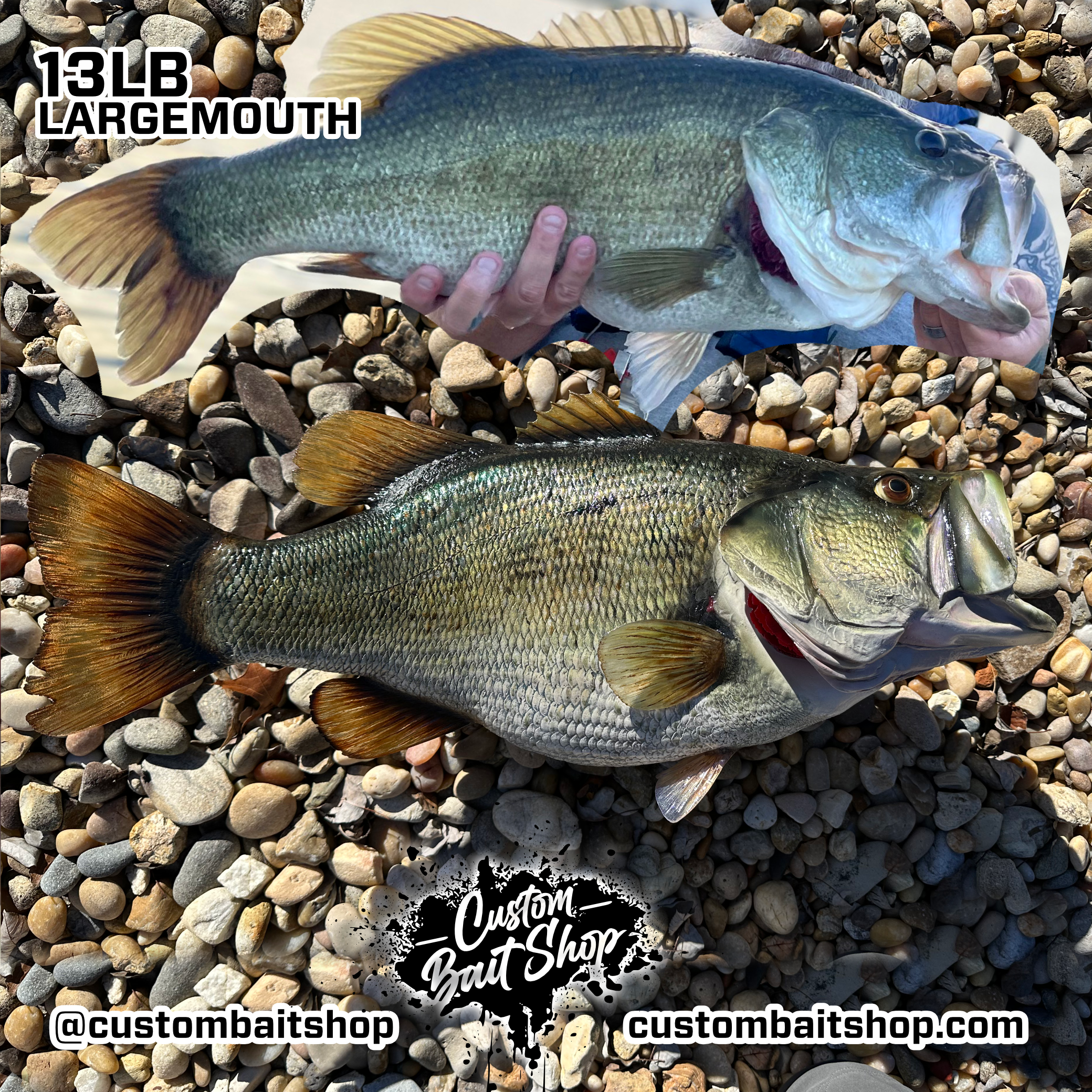 Custom Bait Shop fish replica