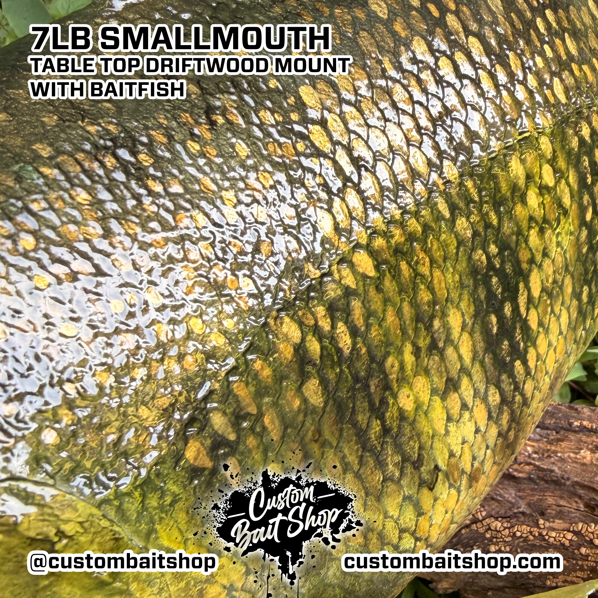Custom Bait Shop fish replica