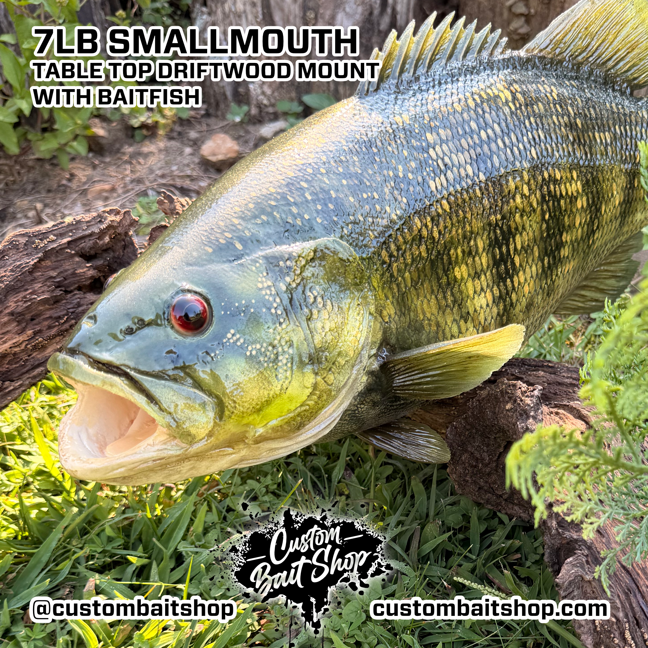 Custom Bait Shop fish replica