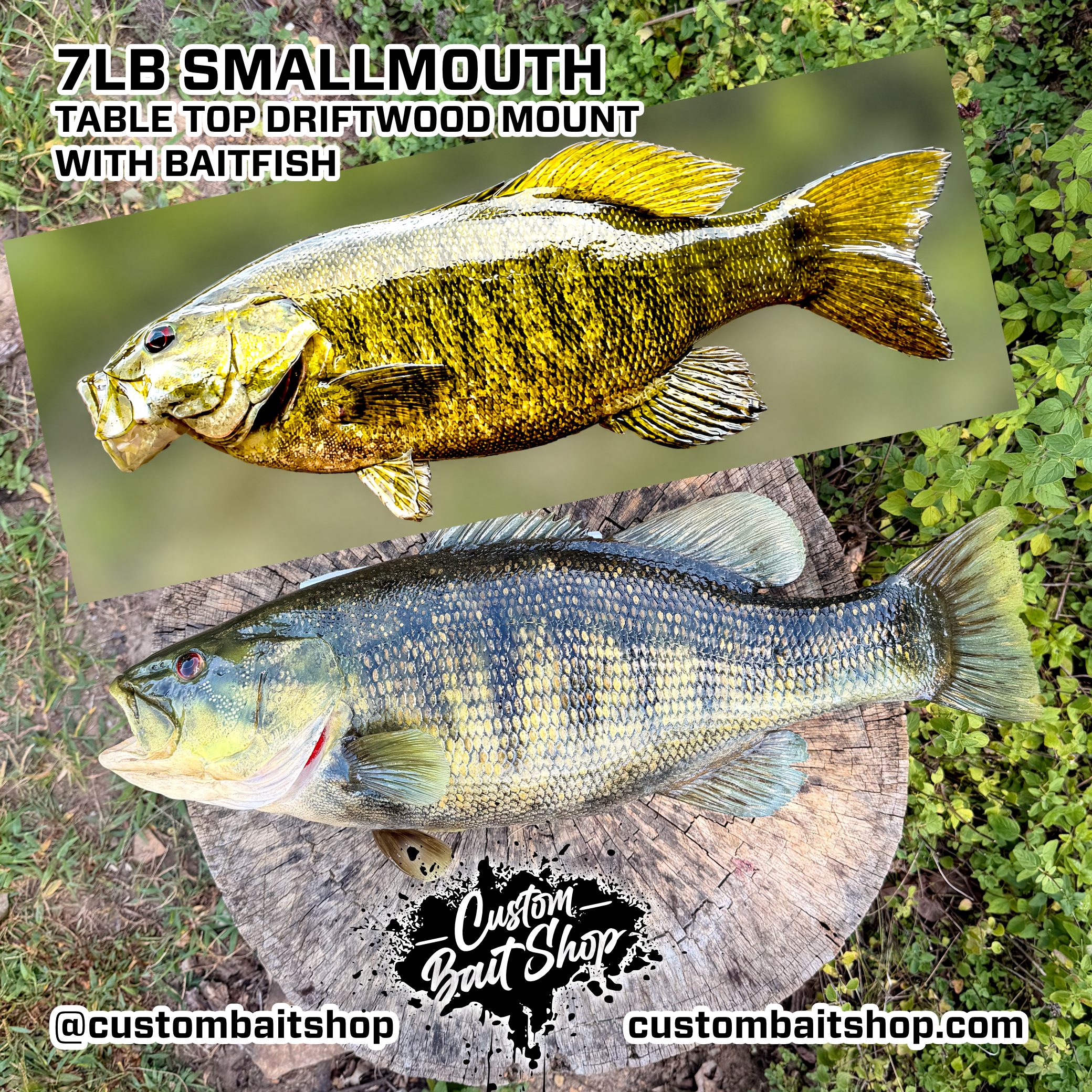 Custom Bait Shop fish replica