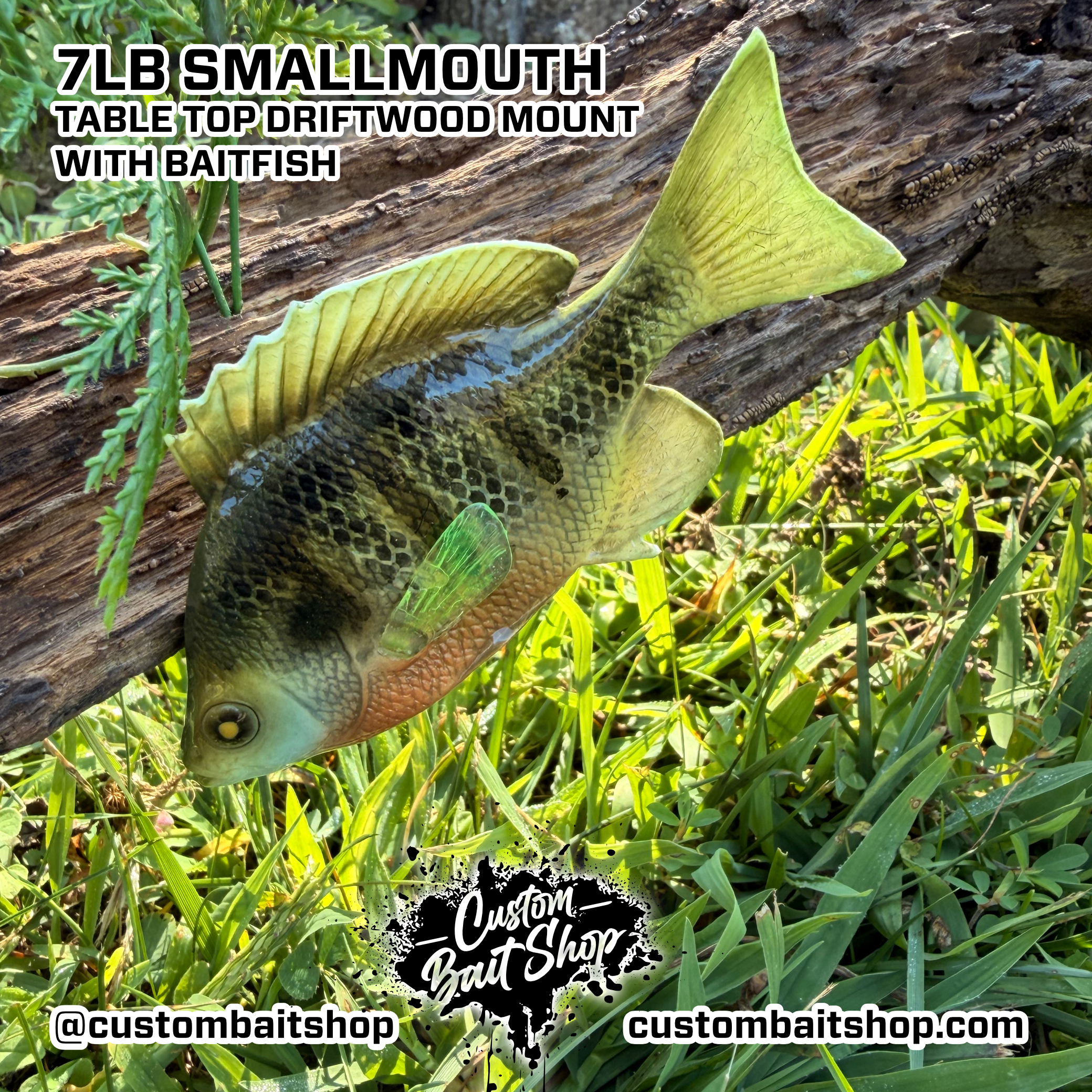 Custom Bait Shop fish replica