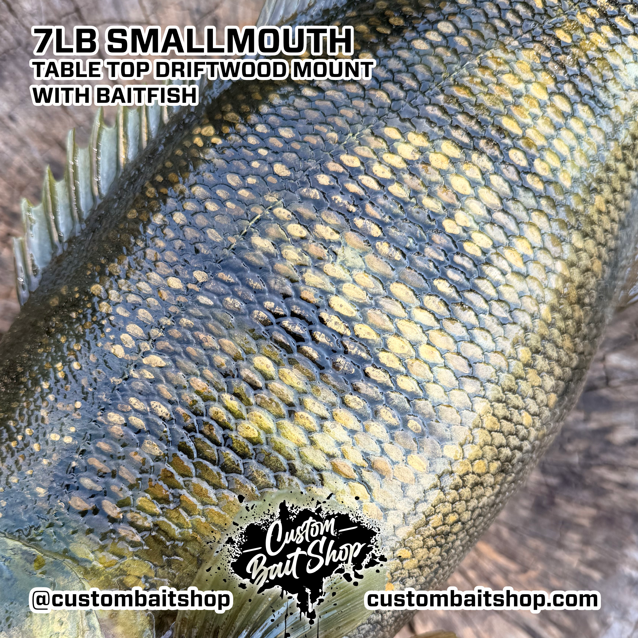 Custom Bait Shop fish replica
