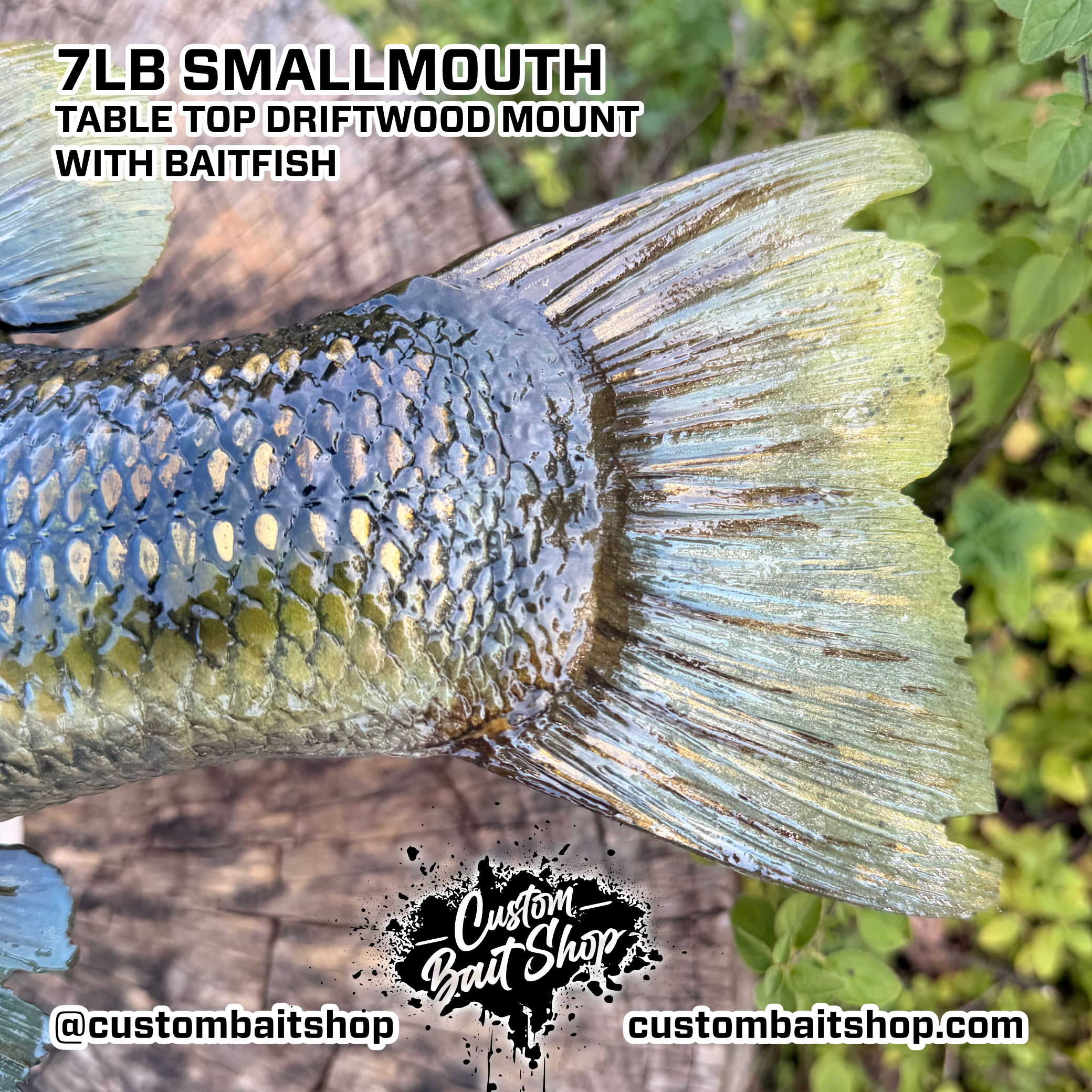 Custom Bait Shop fish replica