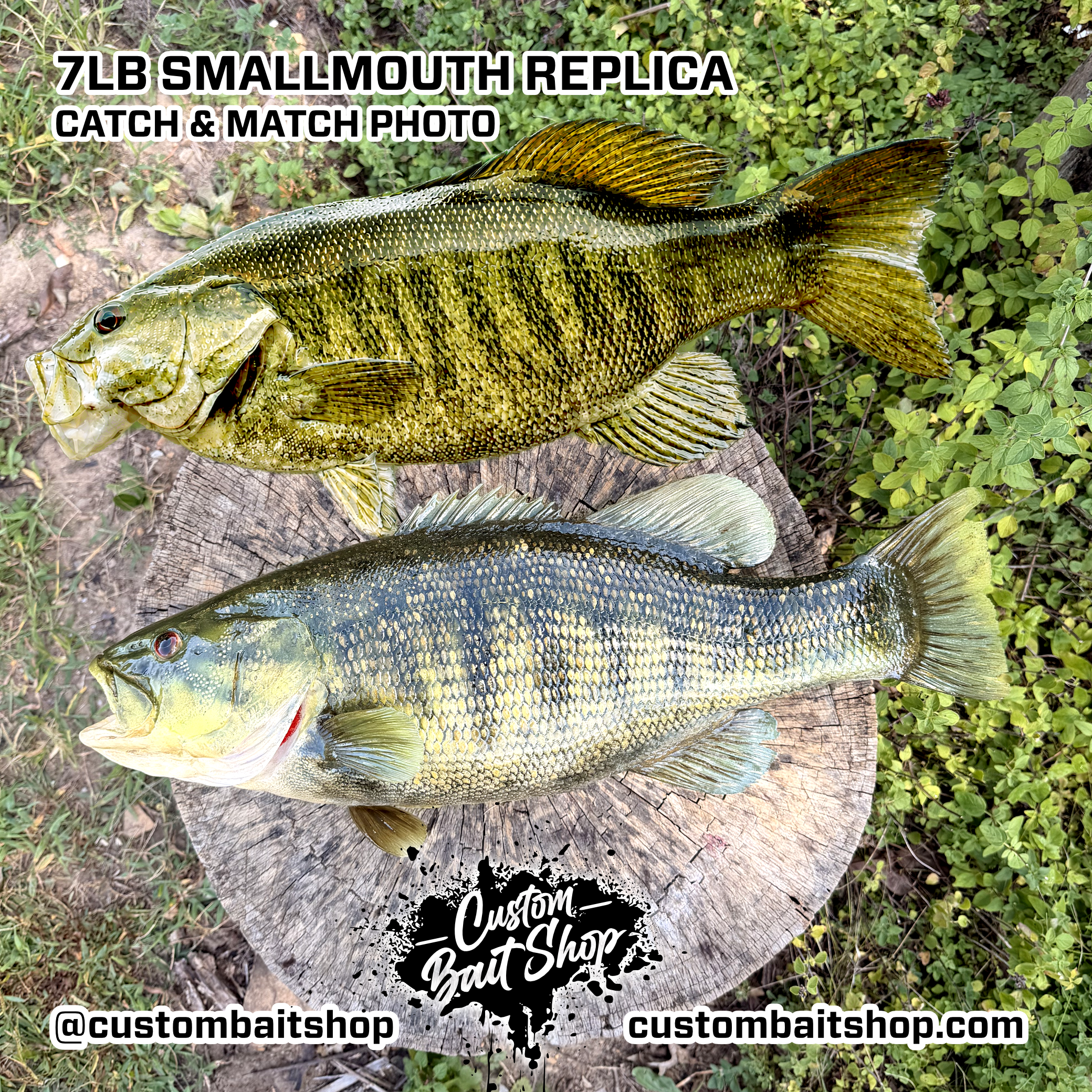 Custom Bait Shop fish replica