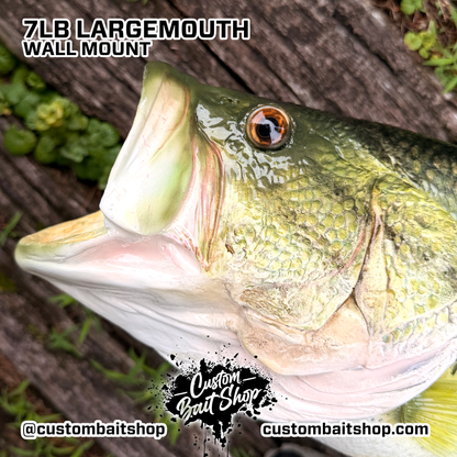 Largemouth Bass Replica