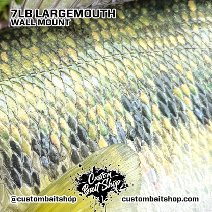 Largemouth Bass Replica