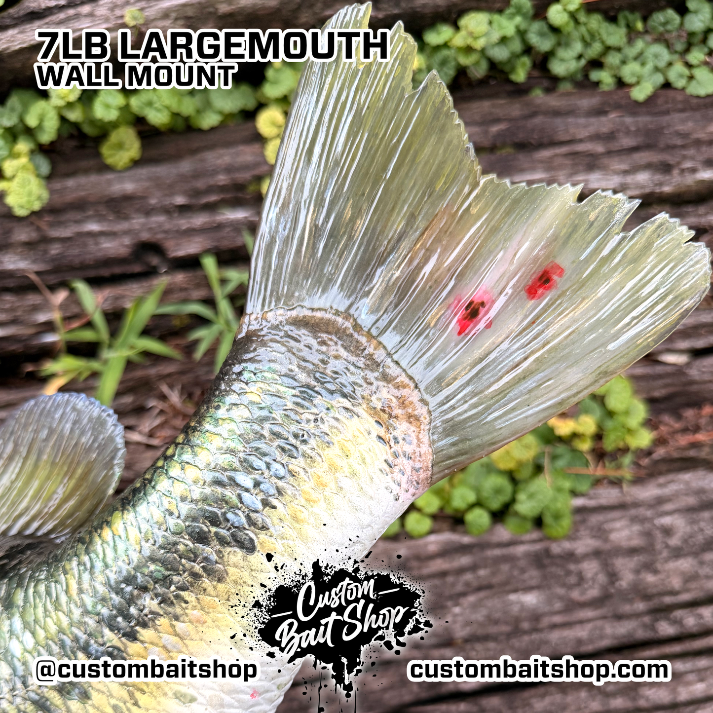 Largemouth Bass Replica