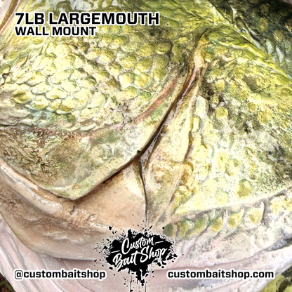 Largemouth Bass Replica