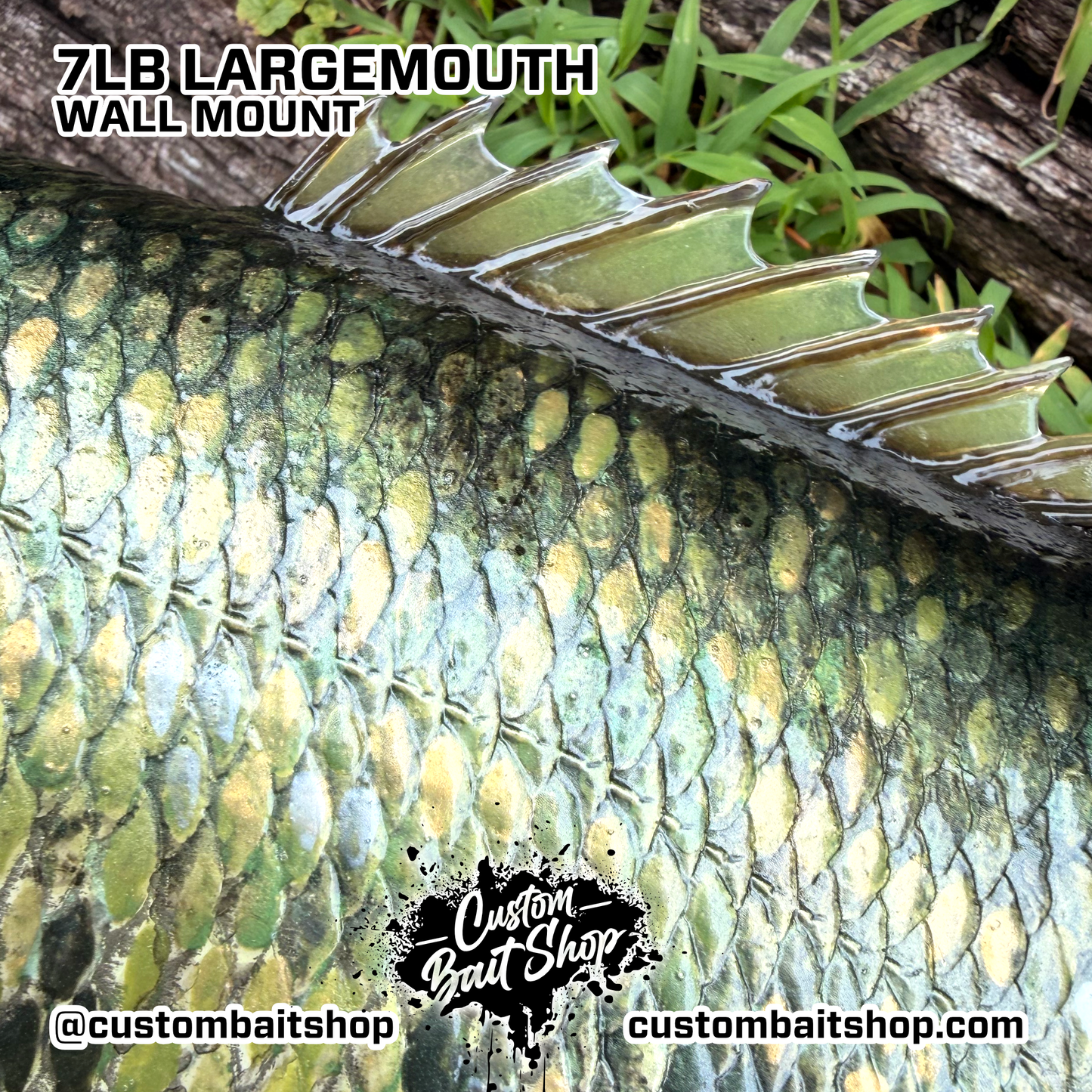 Largemouth Bass Replica
