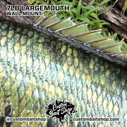 Largemouth Bass Replica