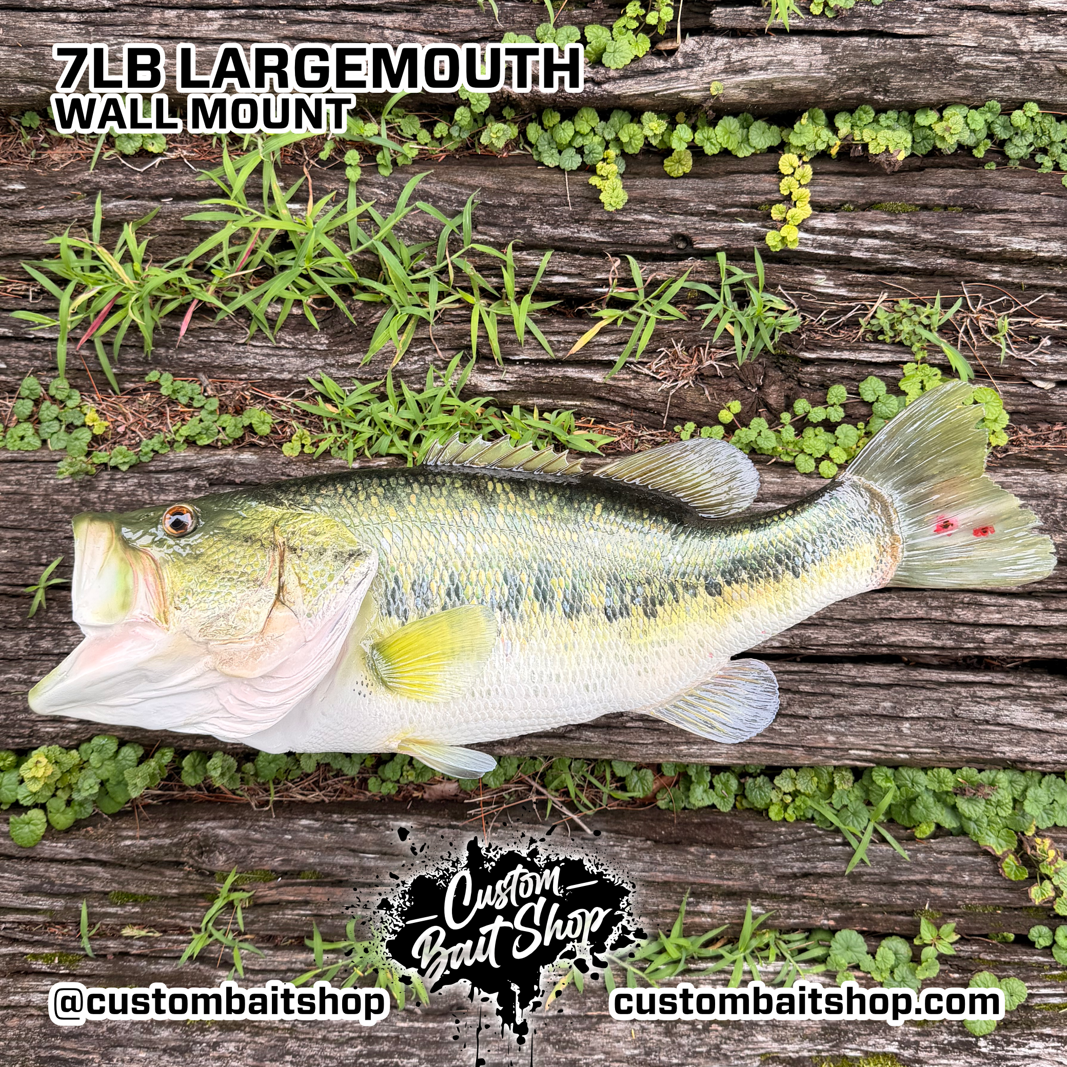 Custom Bait Shop fish replica