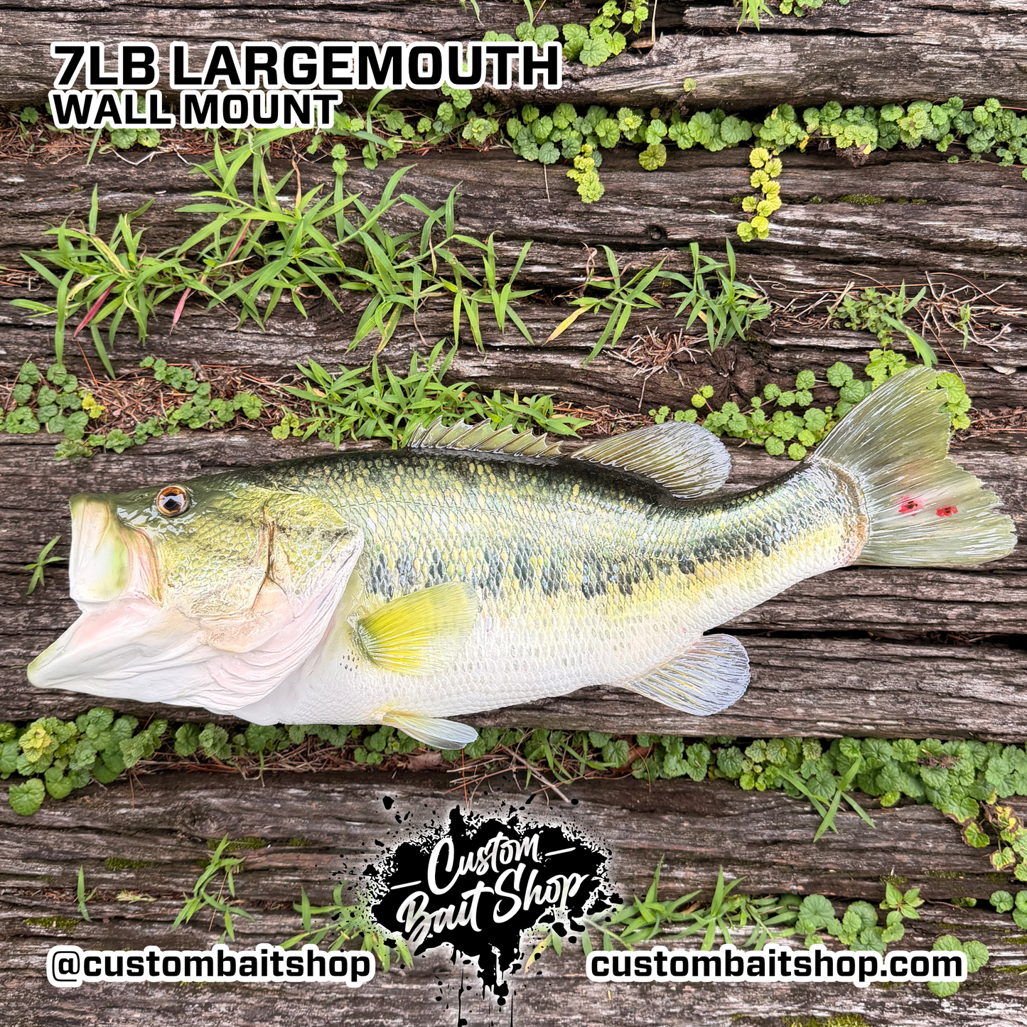 Largemouth Bass Replica