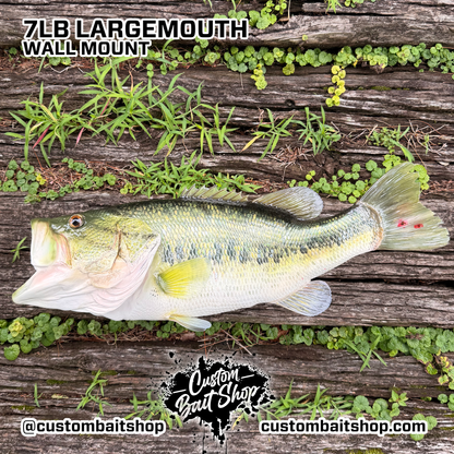 Largemouth Bass Replica