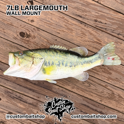 Largemouth Bass Replica