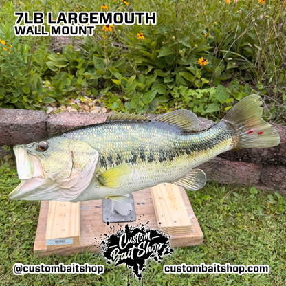 Largemouth Bass Replica