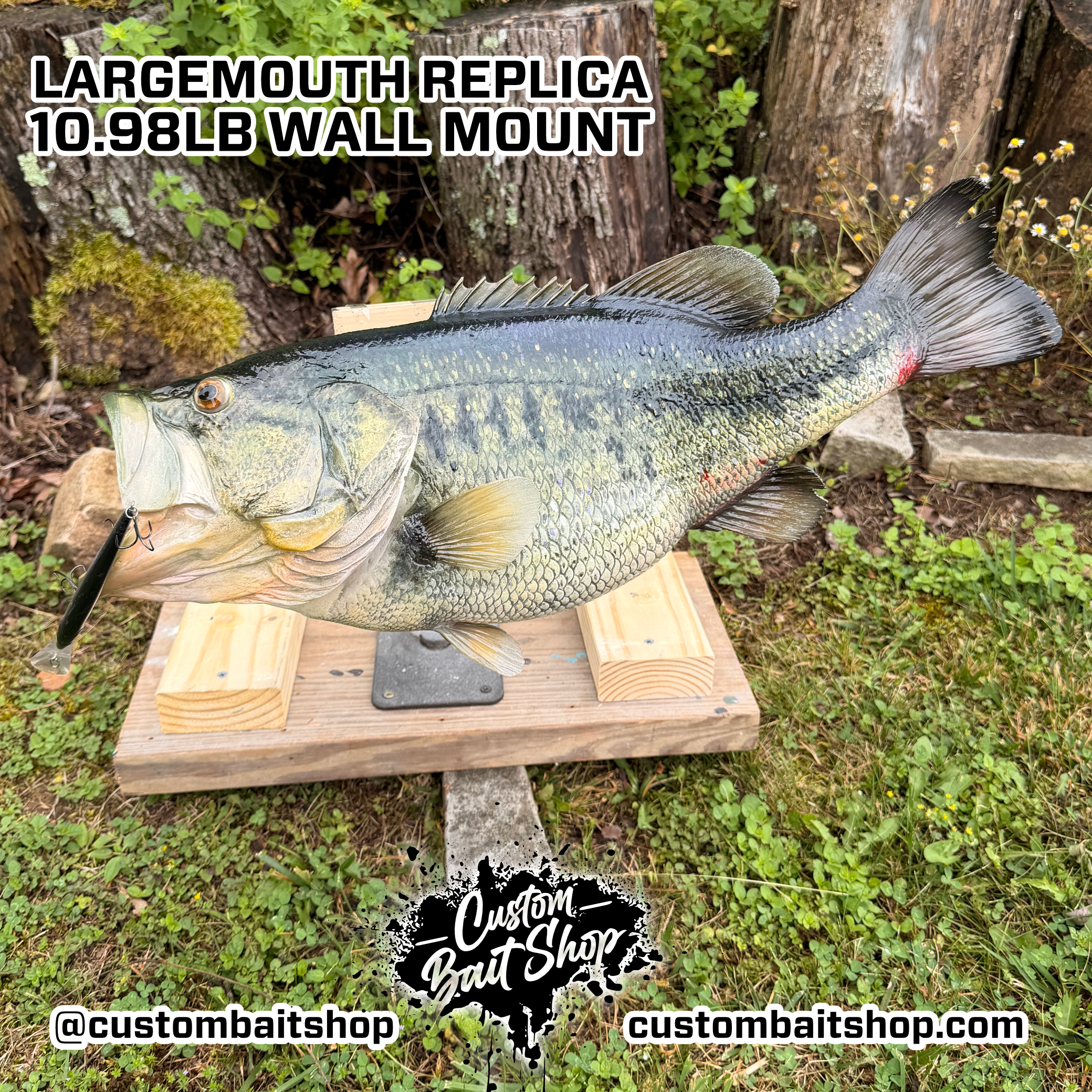 Custom Bait Shop fish replica