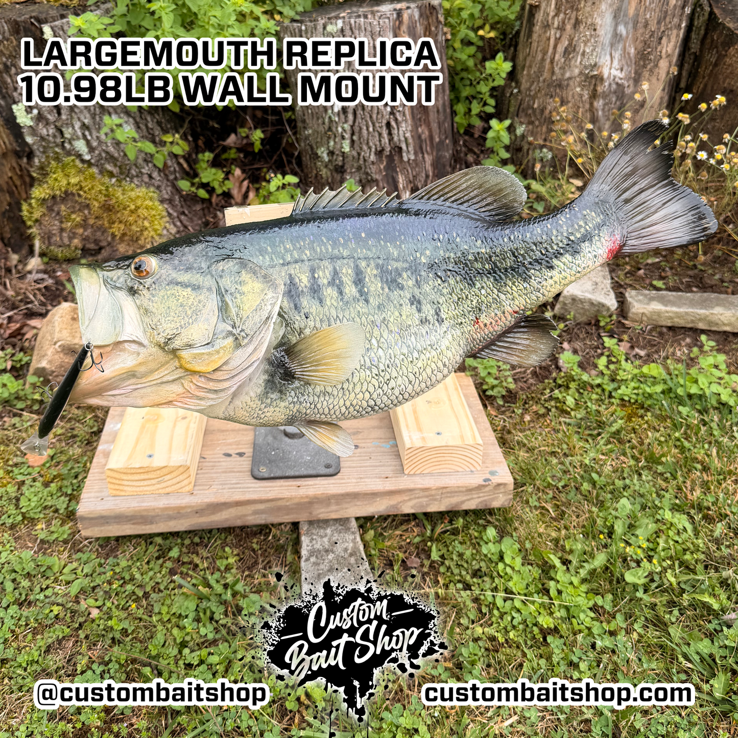 Largemouth Bass Replica (deposit)