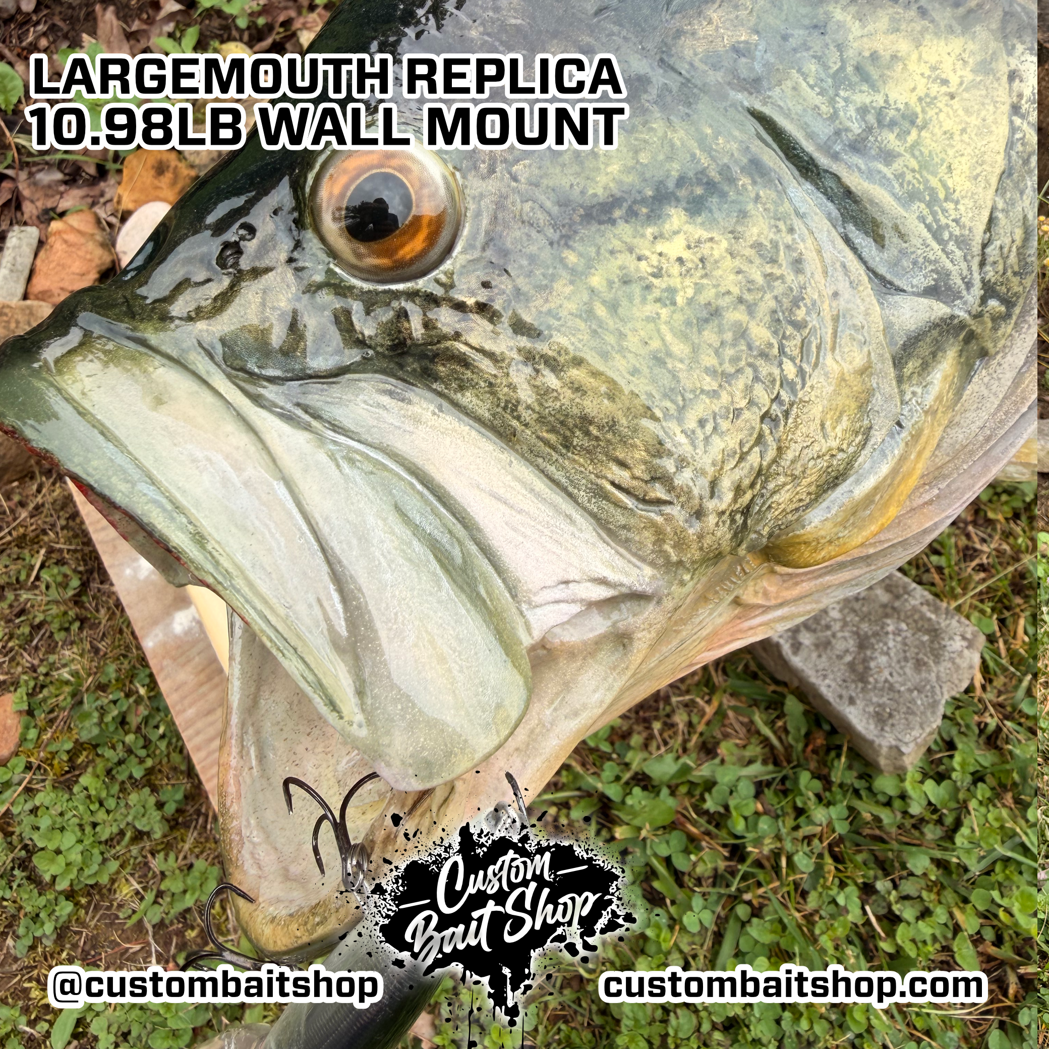 Custom Bait Shop fish replica