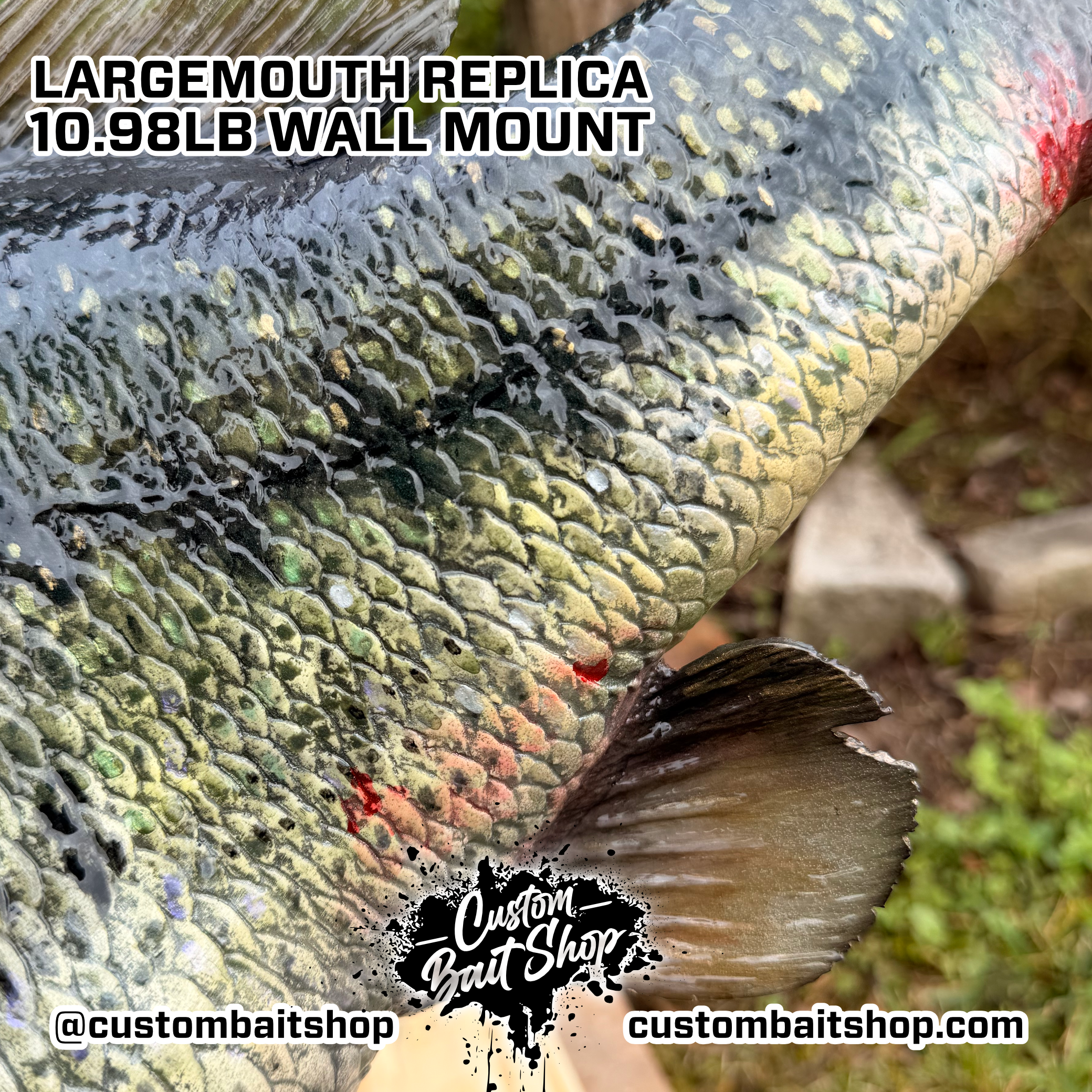Custom Bait Shop fish replica