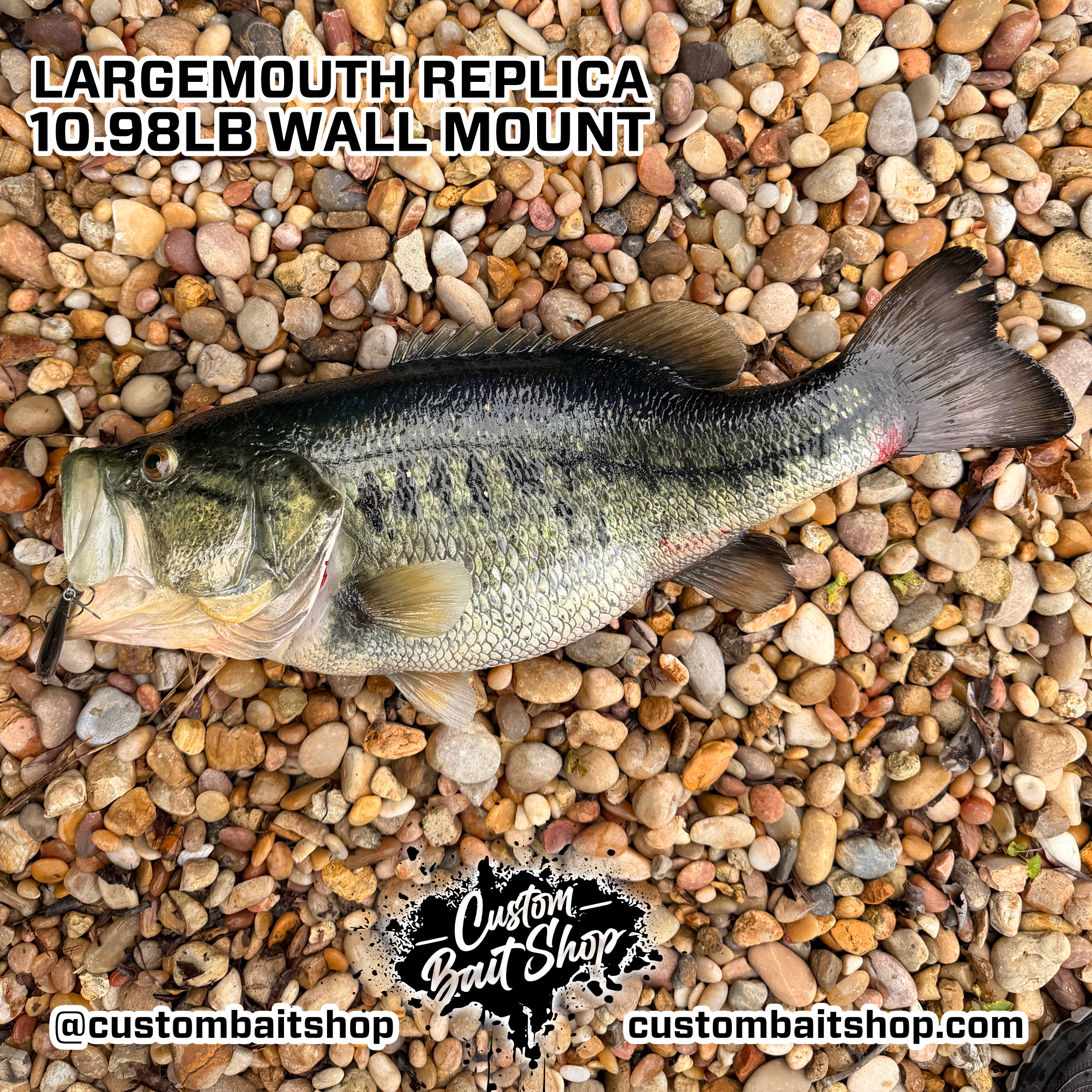 Custom Bait Shop fish replica