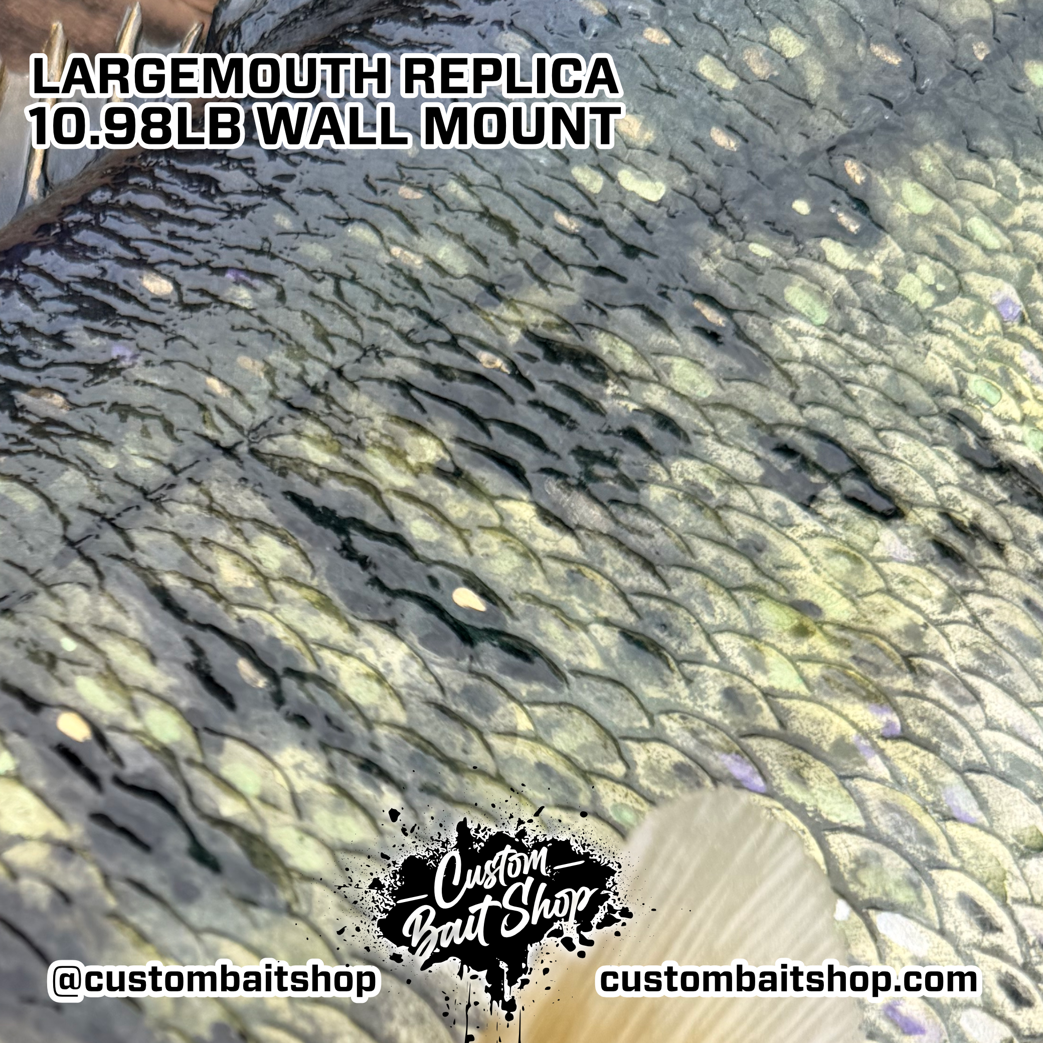 Custom Bait Shop fish replica