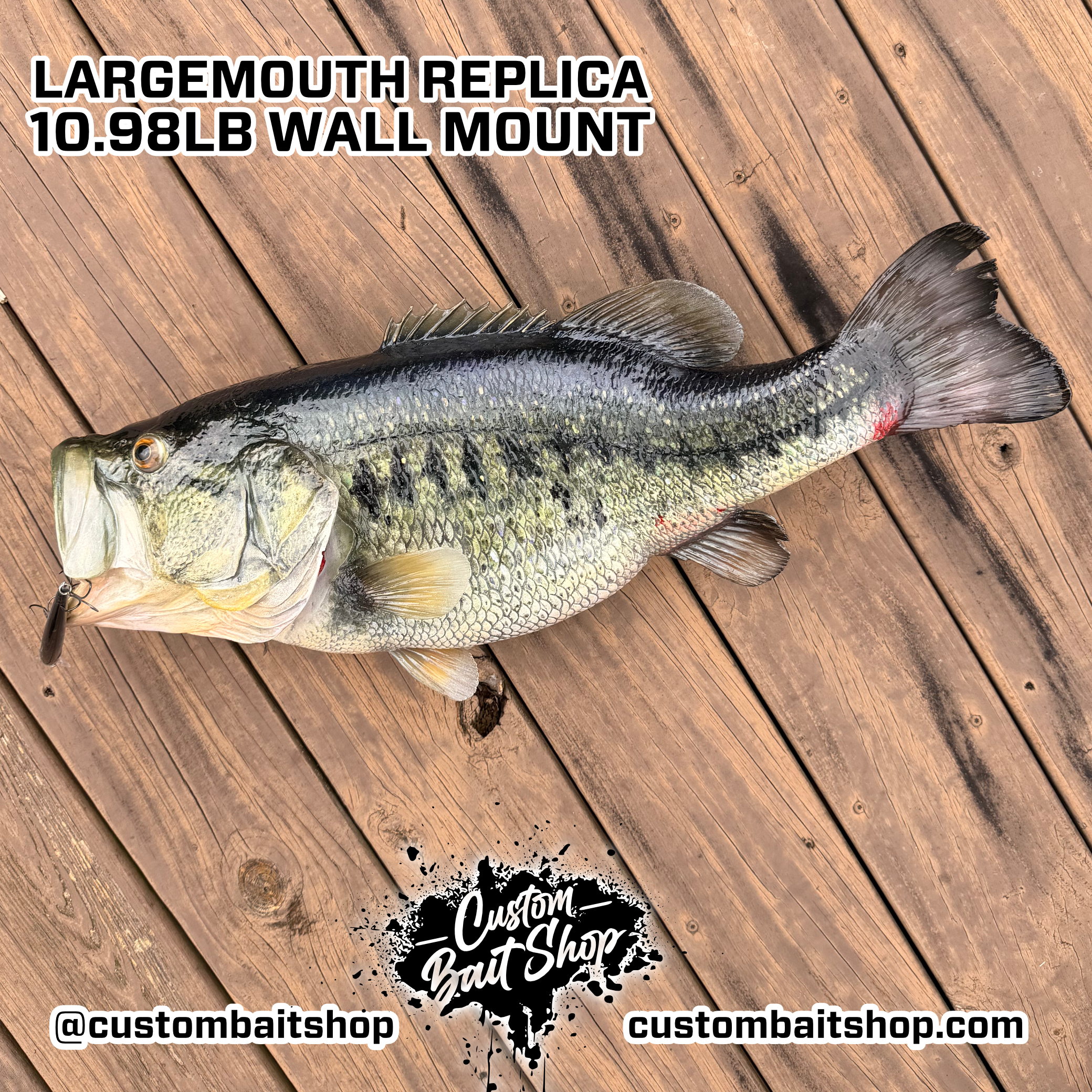 Custom Bait Shop fish replica