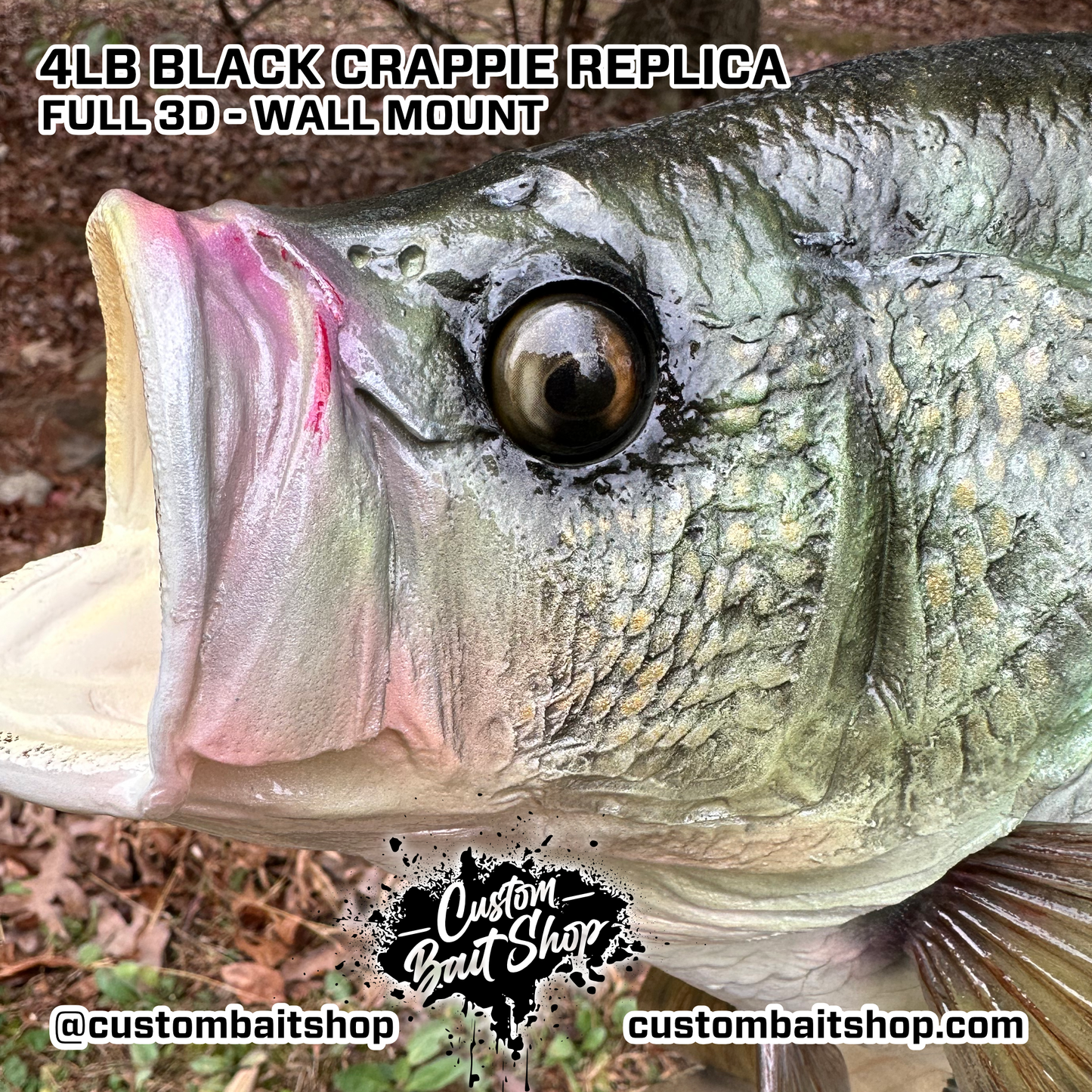 Crappie Replica Wall Mount (deposit)