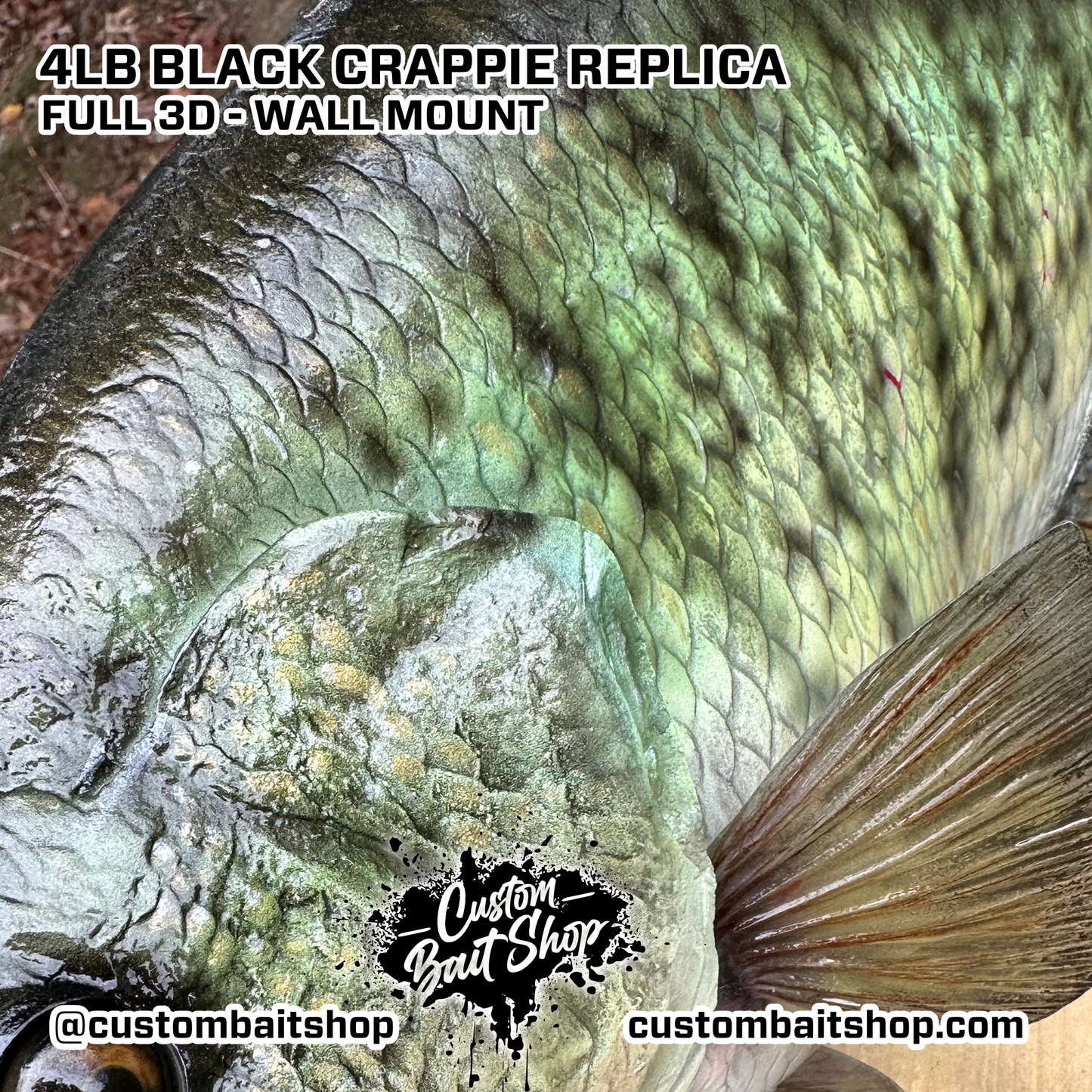 Crappie Replica Wall Mount (deposit)