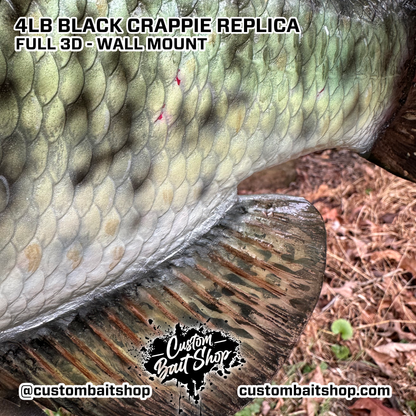 Crappie Replica Wall Mount (deposit)