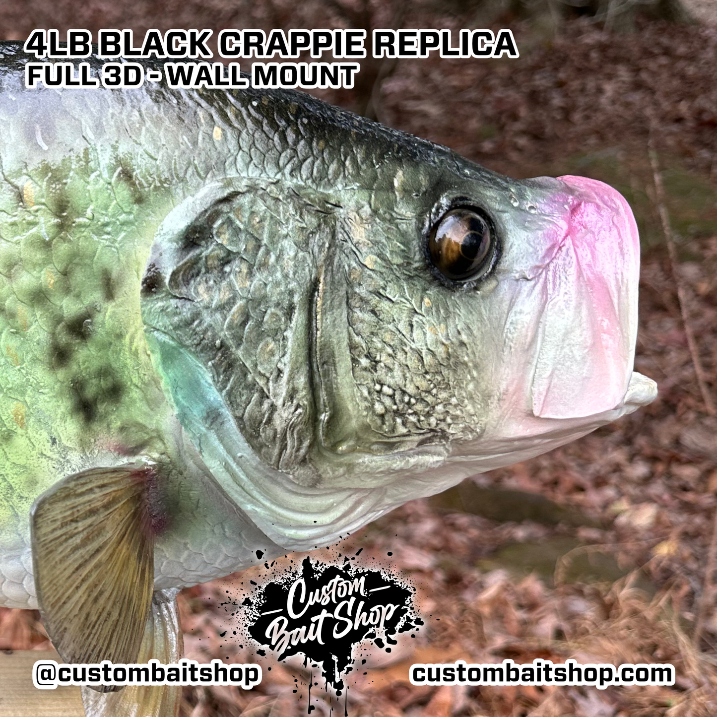 Crappie Replica Wall Mount (deposit)