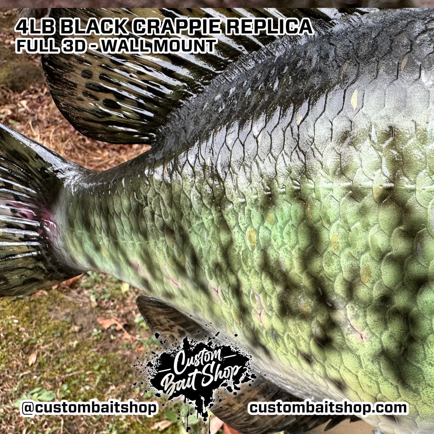 Crappie Replica Wall Mount (deposit)