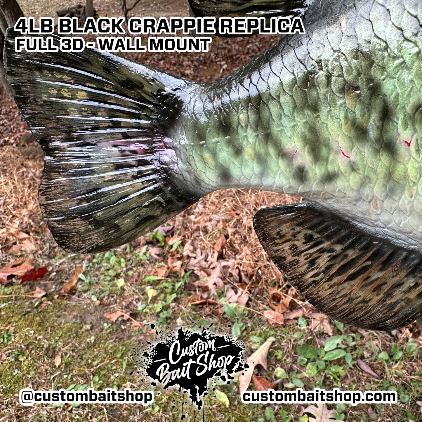 Crappie Replica Wall Mount (deposit)