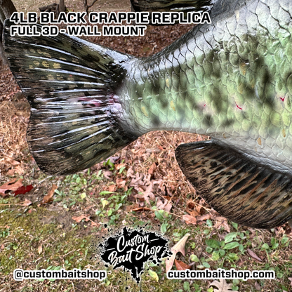 Crappie Replica Wall Mount (deposit)