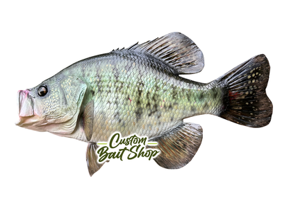 Crappie Replica - Prepainted (Sale)