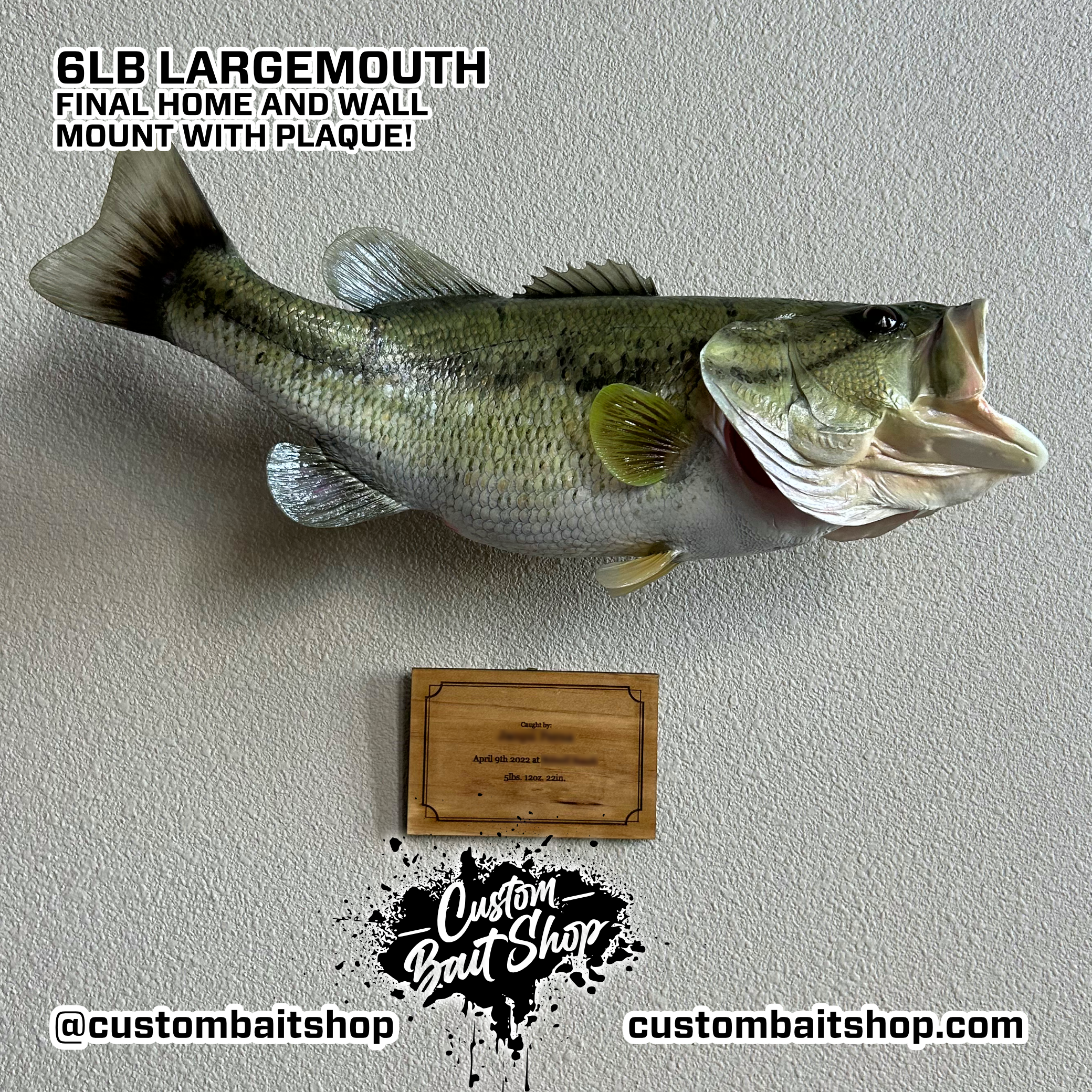 Custom Bait Shop fish replica