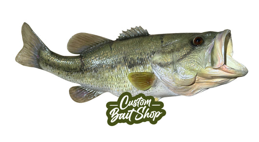 Largemouth Bass Replica (deposit)