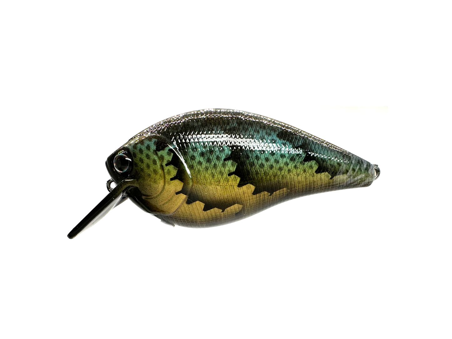 Custom 2.5 Square Bill Crankbait - BioCraw Series Craw & DirtyDigi Craw v2