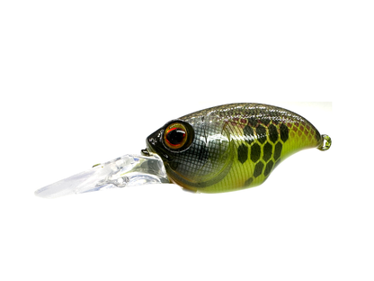 Custom Griffon SR-X BFS Crankbait - Digi Perch