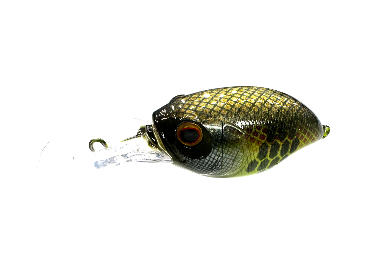 Custom Griffon SR-X BFS Crankbait - Digi Perch