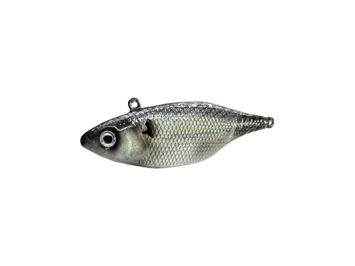 Custom Small Lipless Crankbait - Gizzard Shad